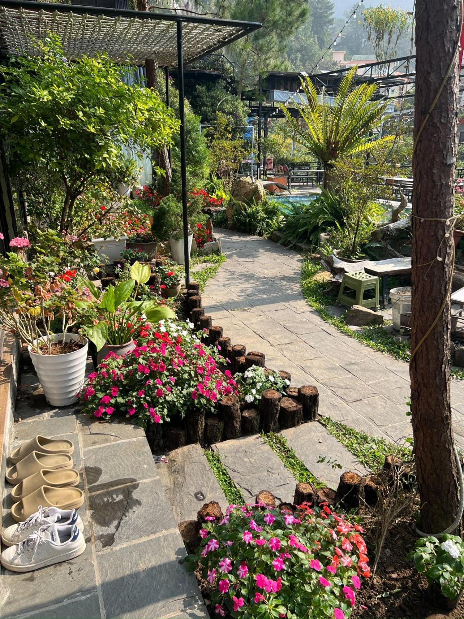 Tam Ðảo Bach Xanh House. Triangle Bungalow מראה חיצוני תמונה